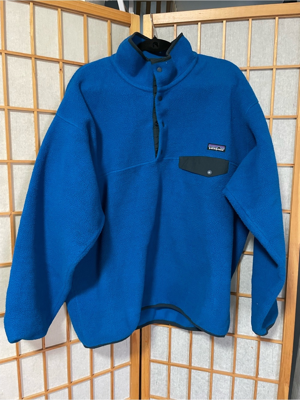 Patagonia Synchilla Snap T